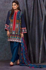 Pakistani Ladies dress